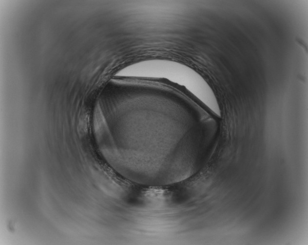 X0000099930227200806131410