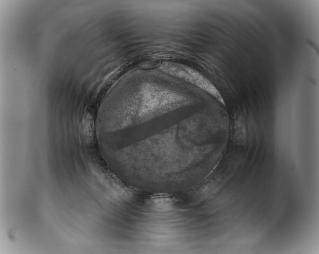 X0000099930228200806131410