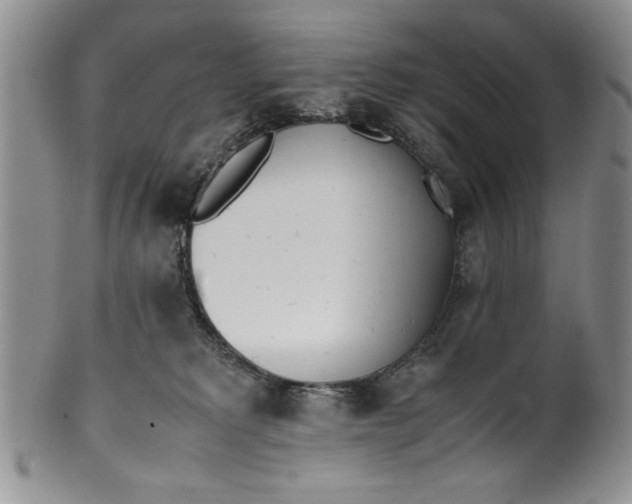 X0000099930229200806131410