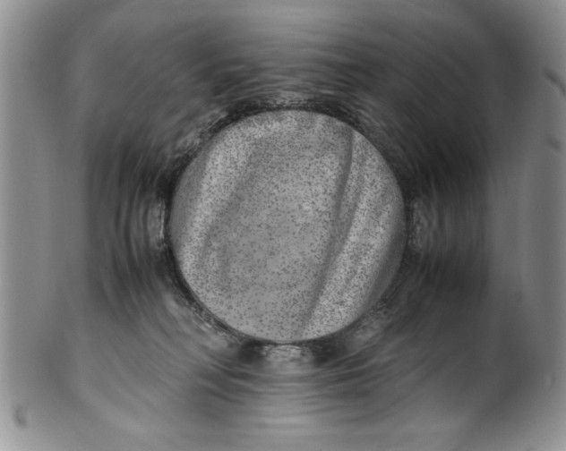 X0000099930230200806131410