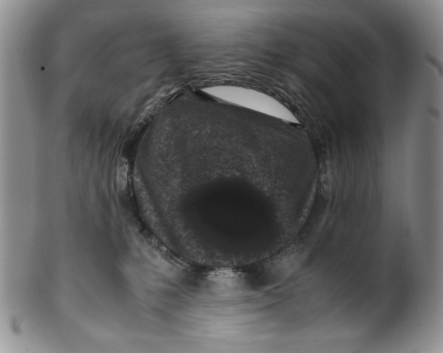 X0000099930231200806131410