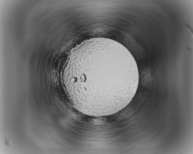 X0000099930232200806131410