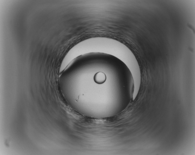 X0000099930233200806131410