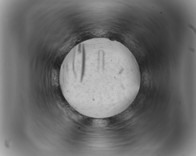 X0000099930234200806131410