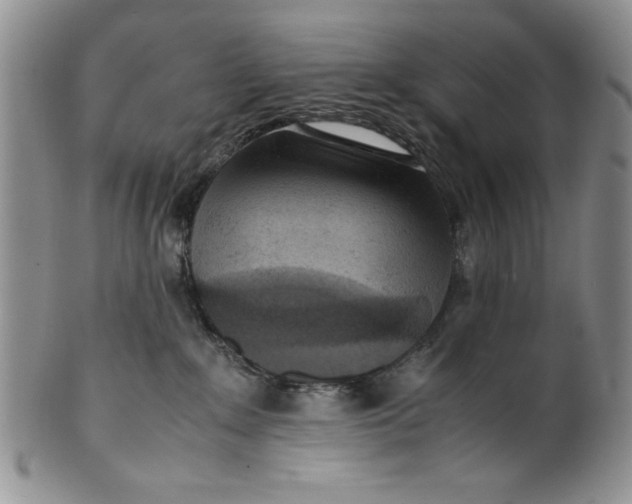 X0000099930235200806131410