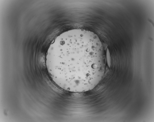 X0000099930238200806131410