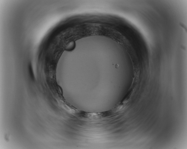 X0000099930239200806131410