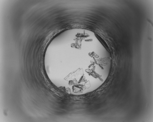 X0000099930241200806131409