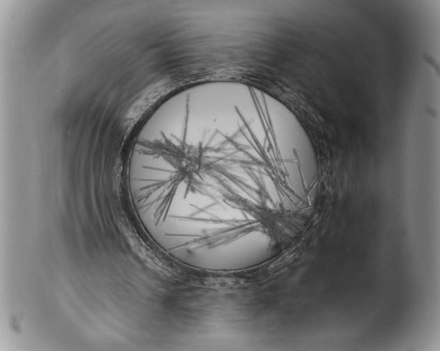 X0000099930242200806131409