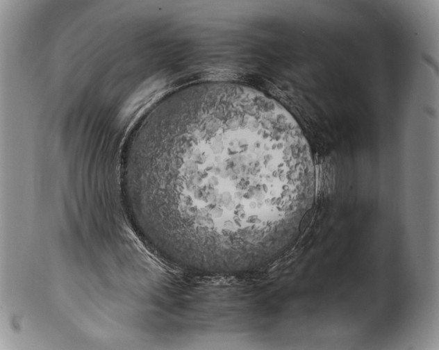 X0000099930243200806131409