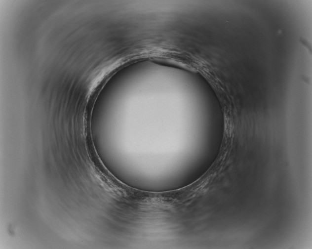 X0000099930244200806131409