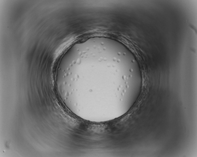 X0000099930245200806131409