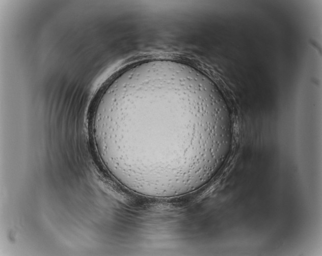 X0000099930246200806131409