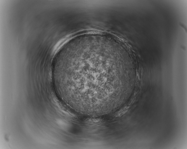 X0000099930247200806131409