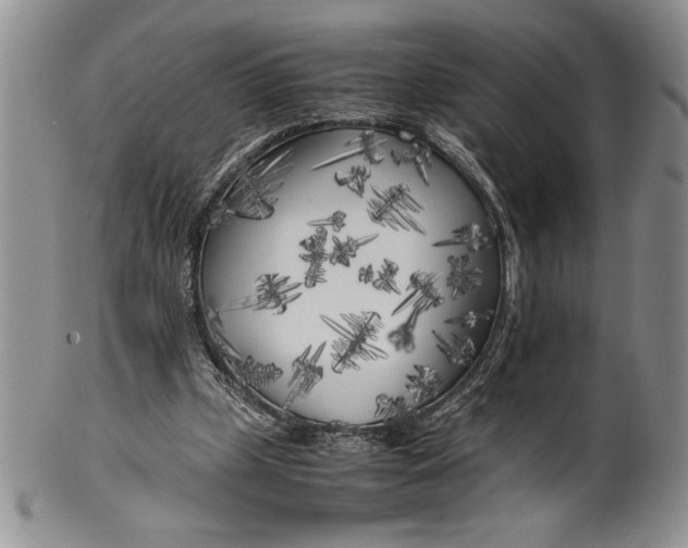 X0000099930249200806131409