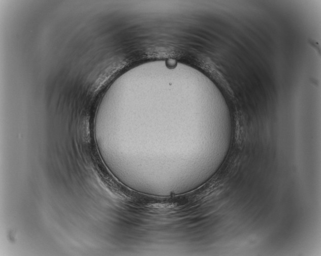 X0000099930251200806131409