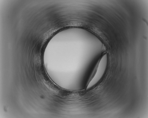 X0000099930252200806131409