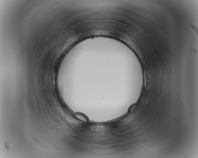 X0000099930253200806131409