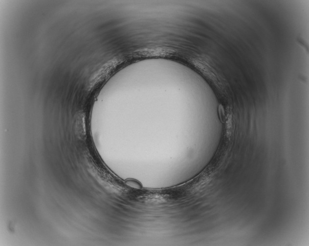 X0000099930254200806131409