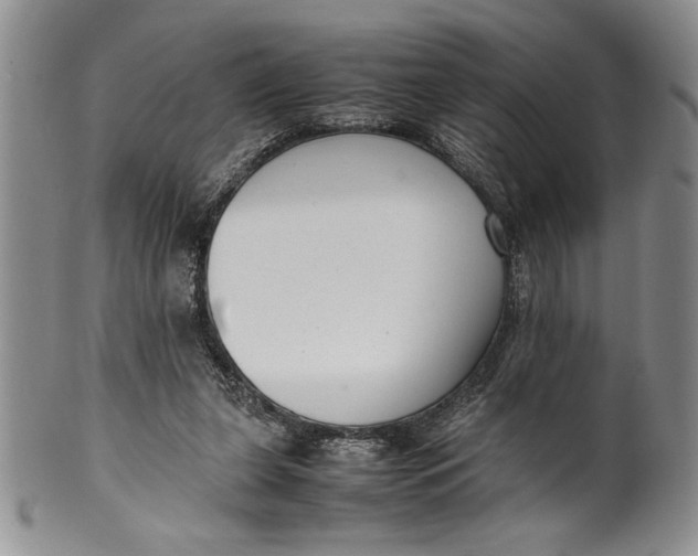 X0000099930255200806131409