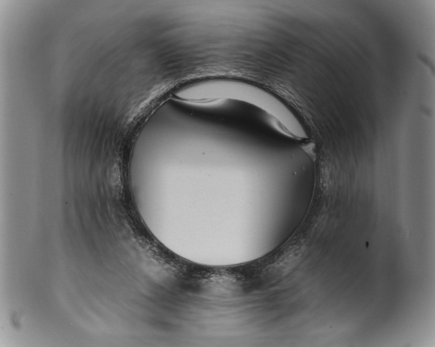 X0000099930256200806131409