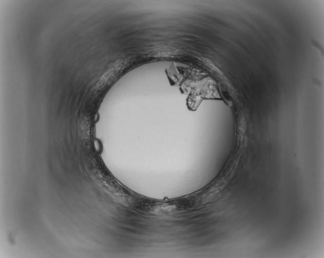 X0000099930257200806131409