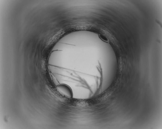 X0000099930258200806131409