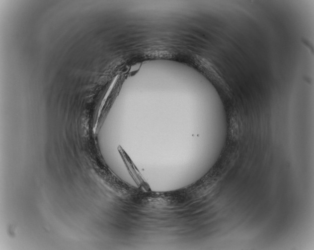 X0000099930259200806131409