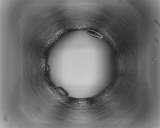 X0000099930260200806131409