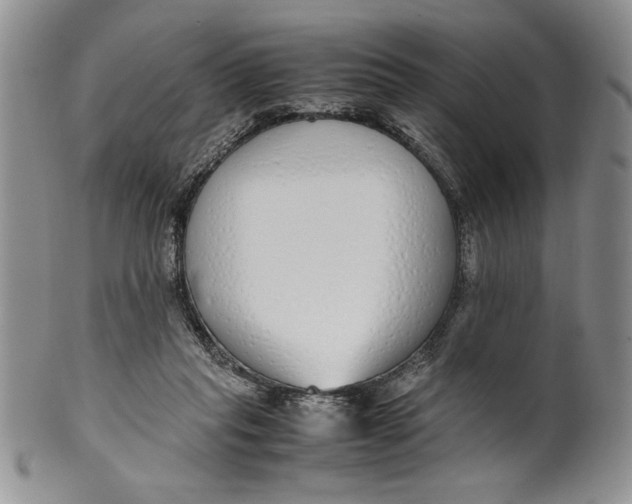 X0000099930261200806131409