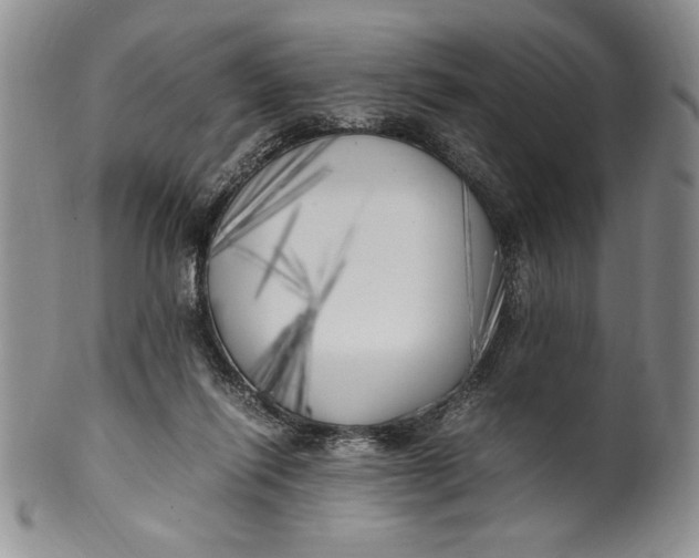 X0000099930262200806131409