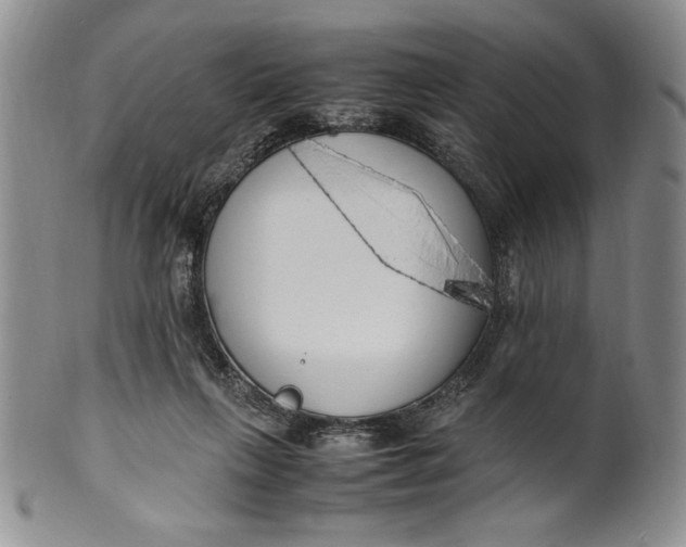 X0000099930263200806131409