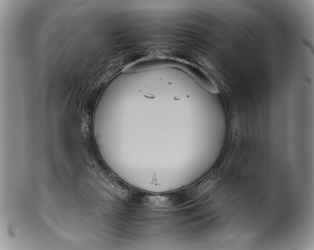 X0000099930265200806131409