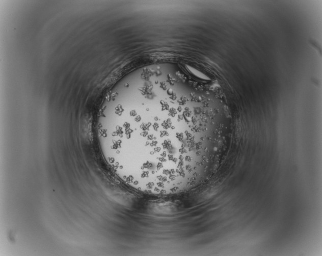 X0000099930267200806131409