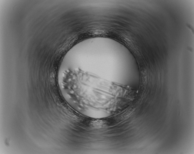 X0000099930269200806131409