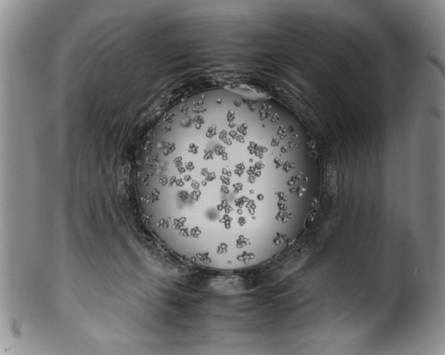 X0000099930271200806131409