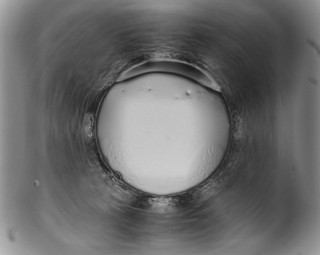 X0000099930273200806131409