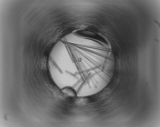 X0000099930274200806131409