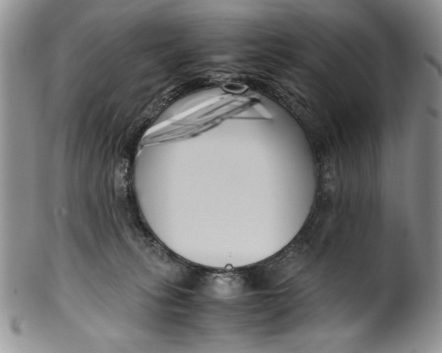 X0000099930275200806131409