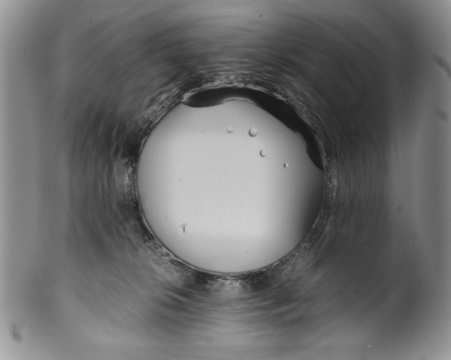 X0000099930276200806131409