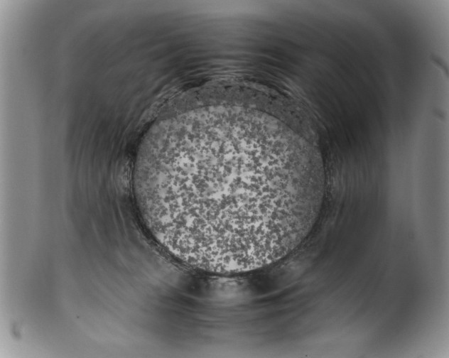 X0000099930277200806131409