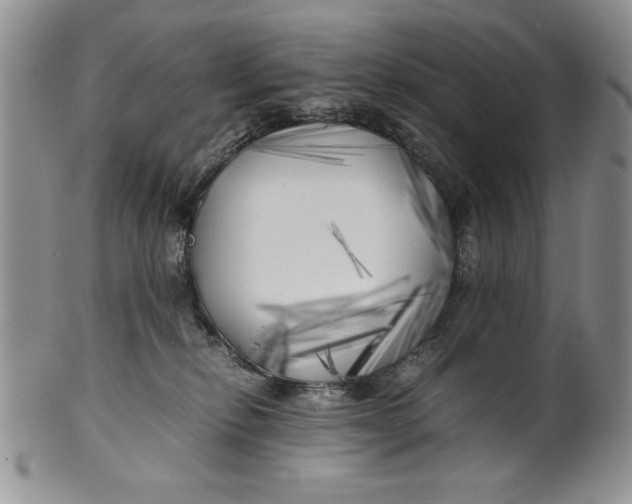 X0000099930278200806131409