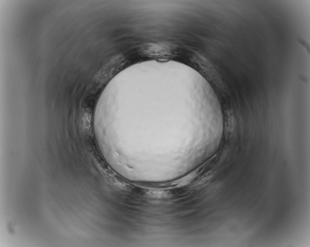 X0000099930281200806131410