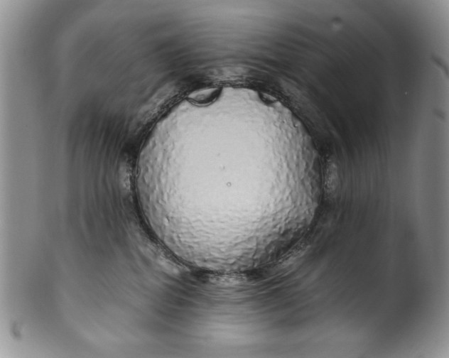 X0000099930282200806131410