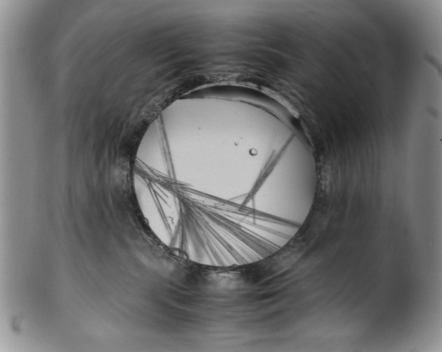 X0000099930283200806131410