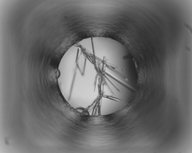 X0000099930286200806131410