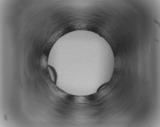 X0000099930287200806131410