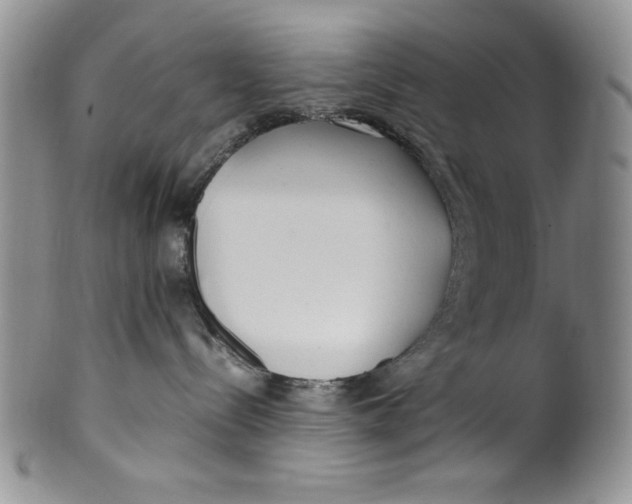 X0000099930288200806131410