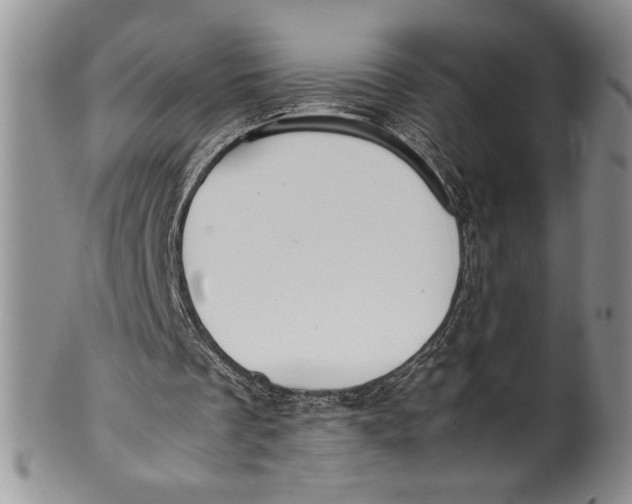 X0000099930289200806131409