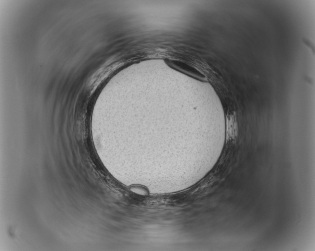 X0000099930291200806131409